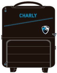 CHARLY TAMPICO TRAVEL SMALL BAG 2019-2020