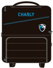 CHARLY TAMPICO TRAVEL SMALL BAG 2019-2020